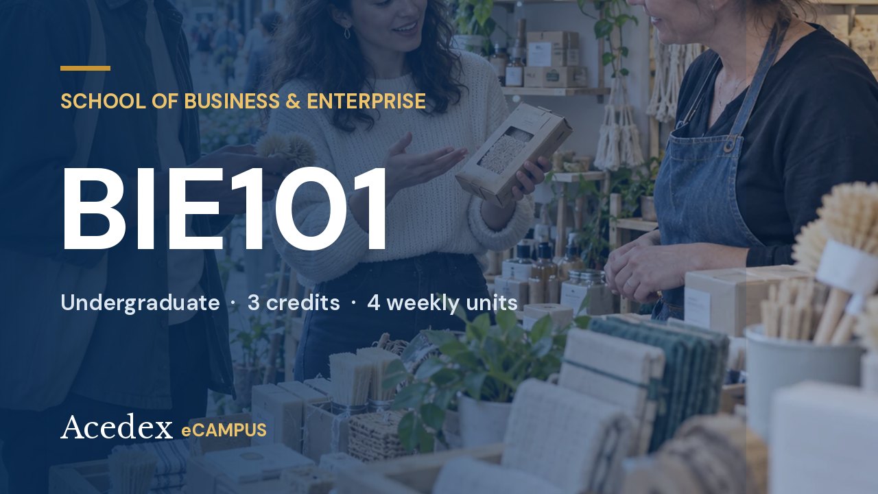 BIE101 Foundations of Business & Innovation BIE101